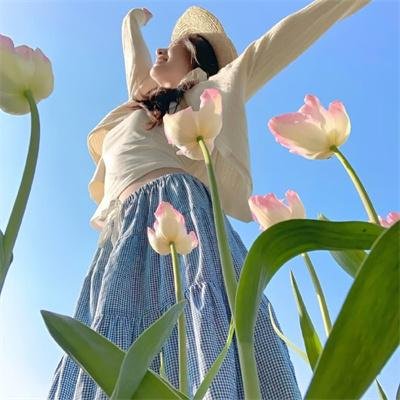 战地花开